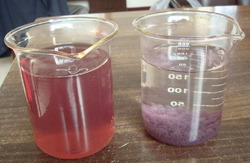 Colour Removal Agents